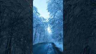 Ilahi: Cemal Kuru - Bu Yol Nereye Gider