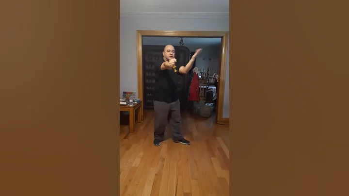Tan Sau Punch