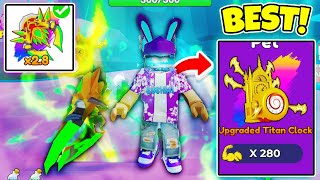 I Got MAX Strength Sword & Unlocked BEST Pets In Reborn As Swordman! (Roblox)