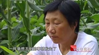 今日说法 今日说法 20120523 婚外情引发的纷争 今日说法 今日说法 20120523 婚外情引发的纷争