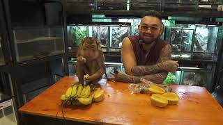 GISEL MUKBANG JAJANAN PINGGIR JALAN, RAKUS MAKAN SIOMAY BABI,CILOK SAMPE MCD  #KINGOFTHEJUNGLE