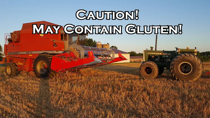 Oliver 990, Massey 8570 and HERMAN on day 3 of whe...