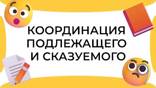 Смыслица: координация подлежащего и сказуемого