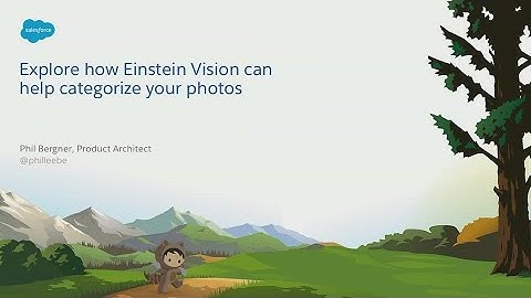 Leveraging Einstein Vision to Help Categorize Your Photos