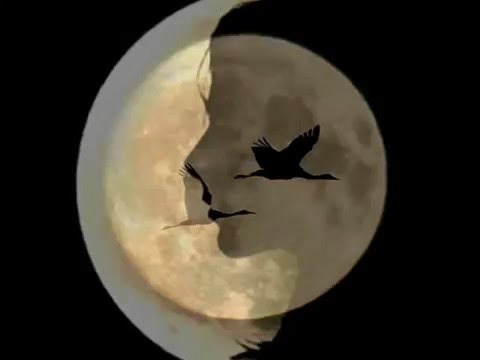 Kvitka Kvitaslawa Cisyk Kacey Квітка Цісик Oh The Moon Don T You Shine Ой не світи місяченьку