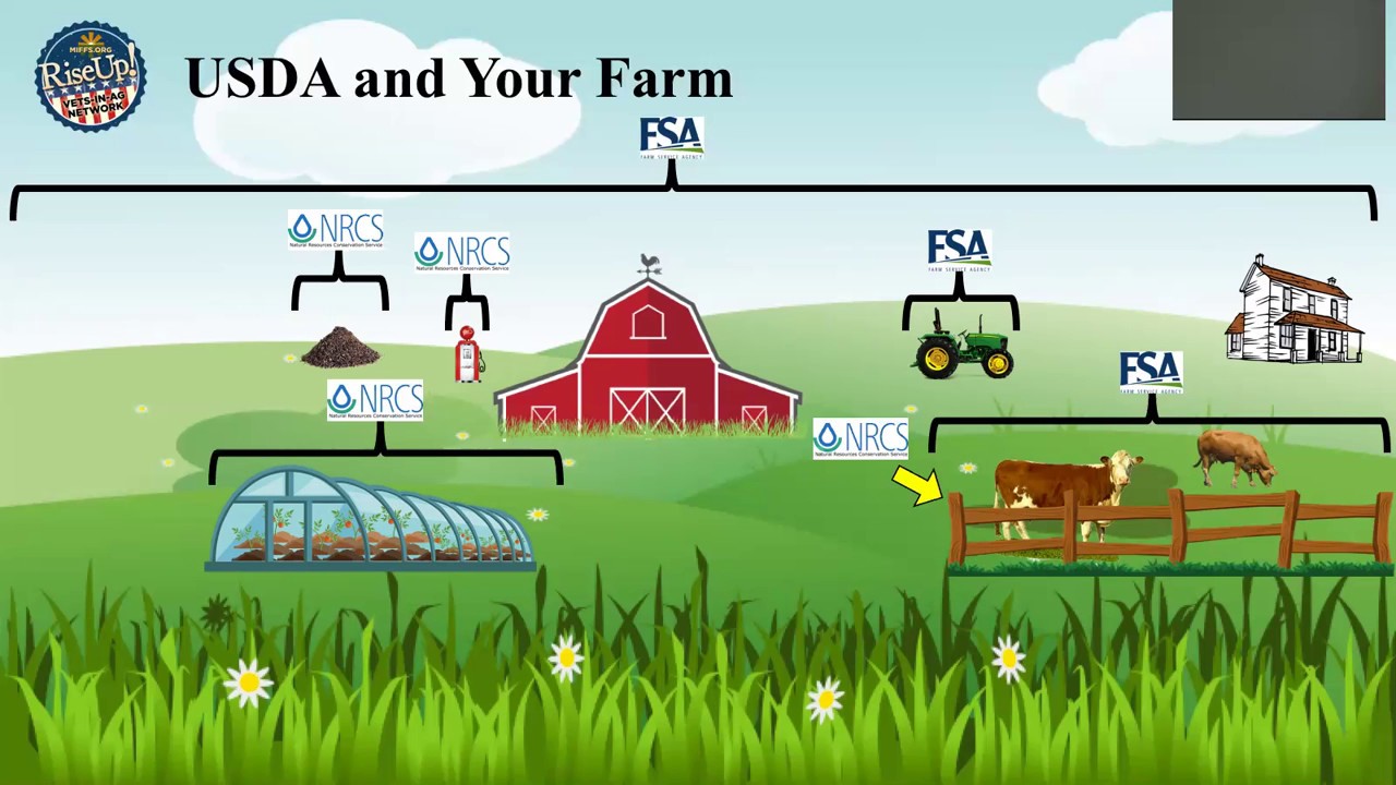 USDA Forms Webinar YouTube Usda forms webinar youtube