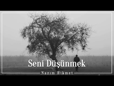 Nazım Hikmet | Seni Düşünmek