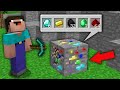 Minecraft NOOB vs PRO: WHAT SECRET ITEM DROP NOOB FROM THIS RAREST MULTI ORE?Challenge 100% trolling