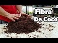 Fibra de coco un exelente sustrato para nuestras plantas