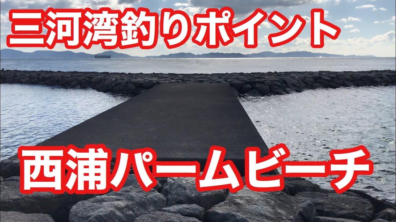 西浦パームビーチ 三河湾釣りポイント Youtube