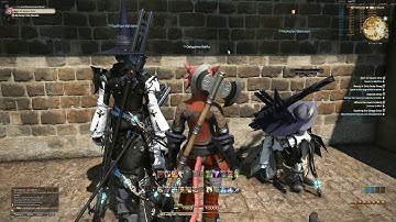 Final Fantasy XIV  A Realm Reborn army of bots ???
