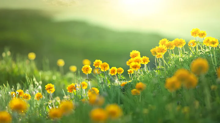 Beautiful Instrumental Hymns, Peaceful Music,  Pia...