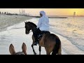 على طاري الغلا يارا