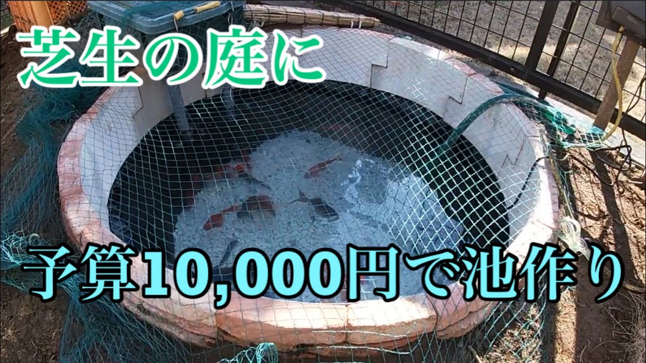 芝生の庭に池を手作りしましたhow To Make A Simple Pond For 100 Youtube