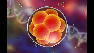 Physicist Brian Miller: The Non-Algorithmic Nature of Life