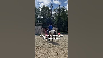 Working With A Horse That