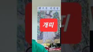 개띠 오늘의운세 2024년7월5일 금요일 운세 총운