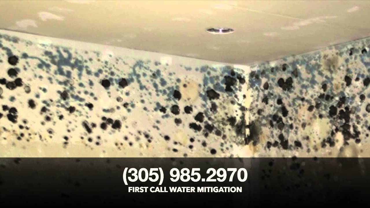 West Palm Beach:. Mold Repair, Mold Repair, Mold Remediation, WATER DAMAGE REPAIR
