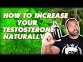 The 8 BEST Testosterone Boosting Herbs & Supplements for Stronger Erections