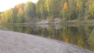 картинка: ОДИН НА РЕККЕ, ЧЕРЕЗ ПЕРЕКАТЫ ЗА НАЛИМОМ! ПОПАЛ НА ЖОР, ЗОЛОТАЯ ЗАКИДУШКА \ РЫБАЛКА С НОЧЁВКОЙ.