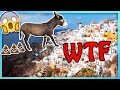 Santorini : 7 things that will SHOCK you