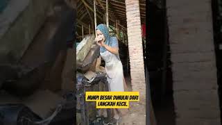 Download Lagu Mimpi besar dimulai dari langkah kecil #shortsvidio #usa #india #genteng #genteng #rooftiles MP3