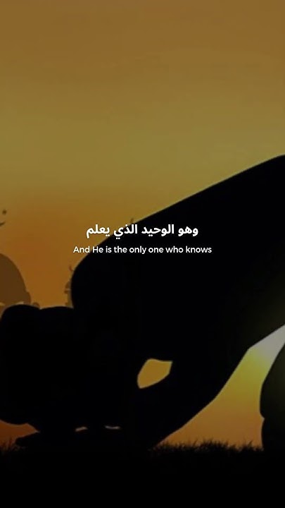 Wallah Only Allah Knows YouTube wallah-only-allah-knows-youtube