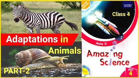 Adaptations in Animals Class 4 | Part 2 | Class 4 Science