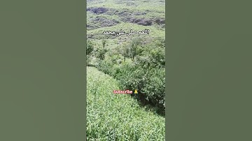 #egzonibrahimi #quran #egzon #المصحف #اكسبلور #تلاوة_خاشعة #راحة_نفسية #القرآن_الكريم #ماشاءالله