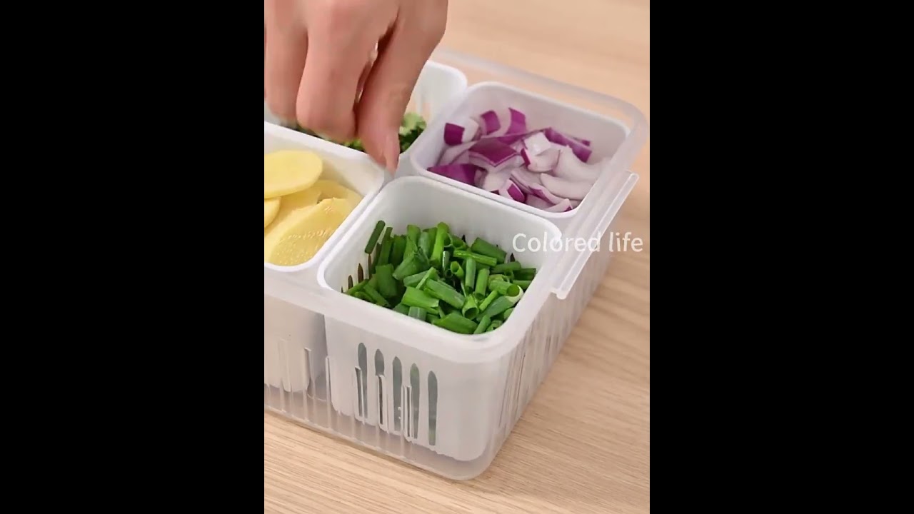 Food Storage Containers with Lids Airtight, Scallion Preservation Box Fridge Fresh-Keeping Container