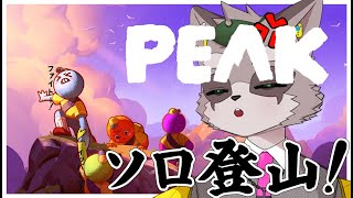 【PEAK】山で育ったので登山余裕です！　小狸まみ助　　#ケモノvtuber