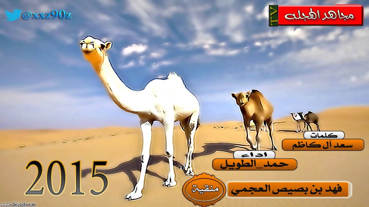 منقية الشيخ : فهد بن بصيص العجمي - كلمات : سعد آل كاظم - اداء المبدع : حمد الطويل