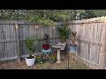 Creating a Bird &amp; Squirrel Corner in Our Backyard