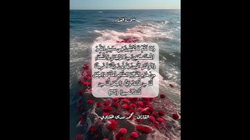سورة النساء ٧٥ #قرآن #قرآن_كريم #قران #قران_كريم #قرأن #quran