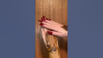 Fake Tan for Hands routine 🥰 Follow us on TikTok for more fake tanning tips 😍 #faketan #twins