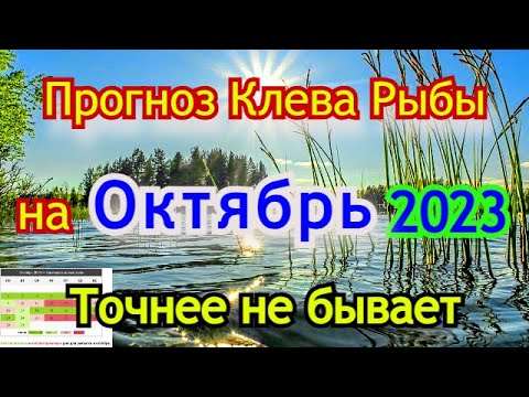 Календарь рыбака на Октябрь Прогноз клева рыбы Лунный Календарь рыбака 2023!