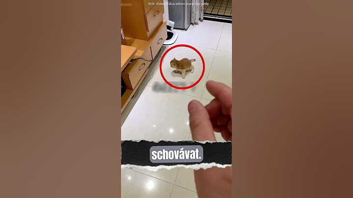 Kdo poškodil banán? Nečekané odhalení!