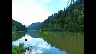 Video voorbeeld van "Marosmenti fenyves erdő aljában"