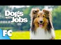 Dogs With Jobs | S5E05: Cass, Buddy &amp; Mercedes | Full Animal Documentary TV Show | FC