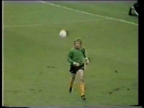 Wolverhampton Wanderers v Tottenham Hotspur 1981 FA Cup Semi Final