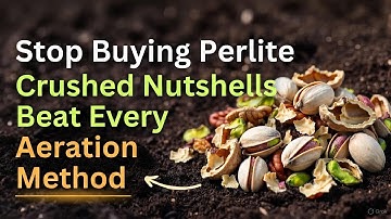 This Crushed Nutshell Trick Solved My Soil Compaction Problem (INSTANT Soil Aeration)