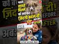Stray Dog Rescue Emotional Video 🥺 | Humanity Still Exists #shorts