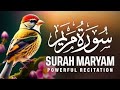 Surah Maryam Full HD Most Emotional Heart Touching Quran Recitation Beautiful Tilawat 2026 