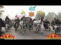 Horse race badal vs dharkan