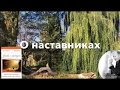 О наставниках | Вадим Шишкин