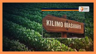 Kilimo Biashara | Sayansi yaimarisha uzalishaji wa nyama ya ng’ombe nchini