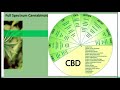 Cbd and endometriosis