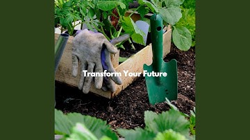 Modish Moods for Thoughtful Vibes