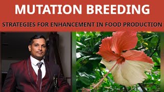 95.MUTATION BREEDING| STRATEGIES FOR ENHANCEMENT IN FOOD PRODUCTION |NEET|CLASS 11| BIOLOGY