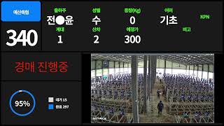 예산축협 가축경매시장